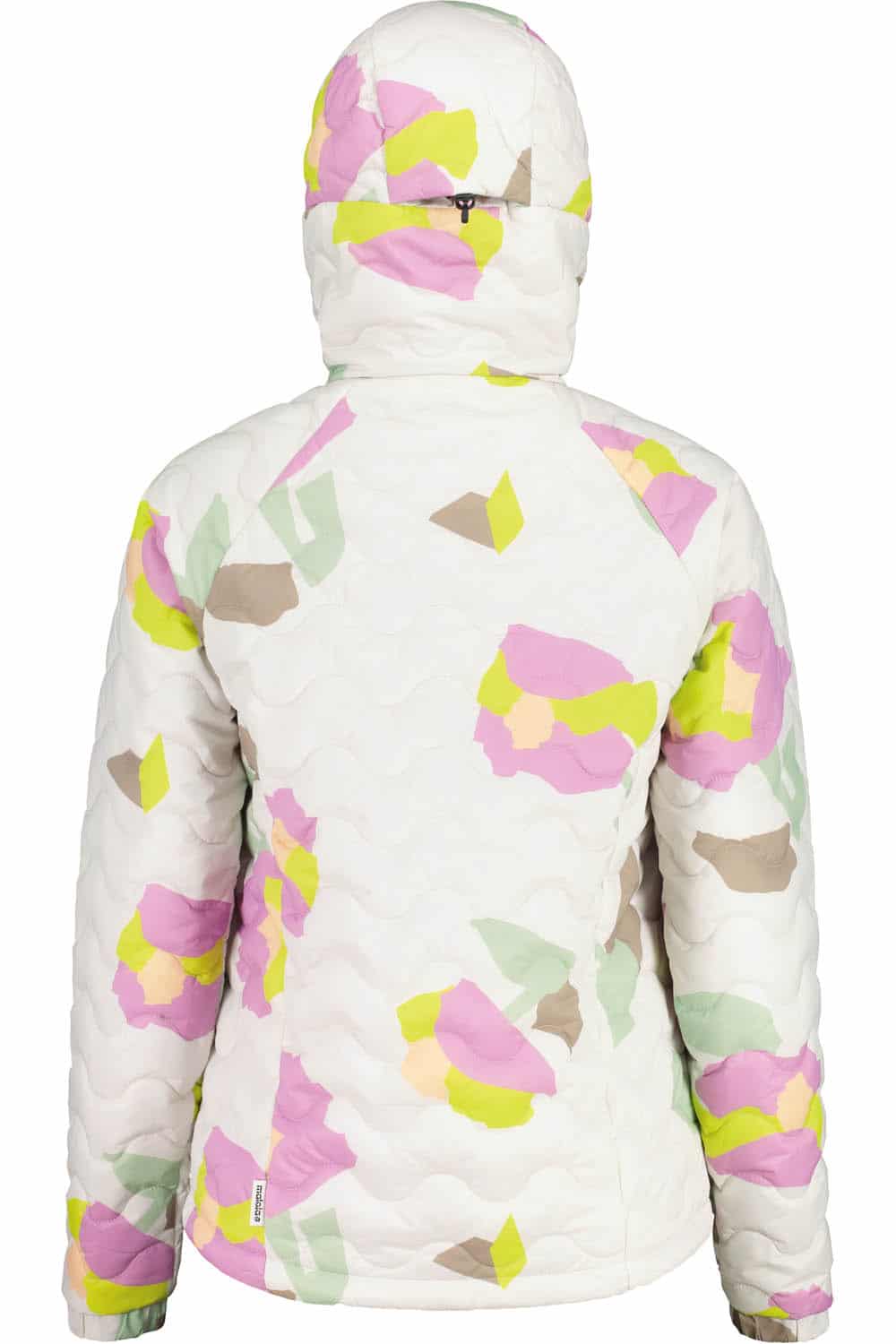 ChrysanthenumM. – Bild 2