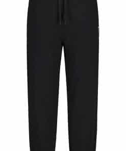 Alternative view of FabianiM.