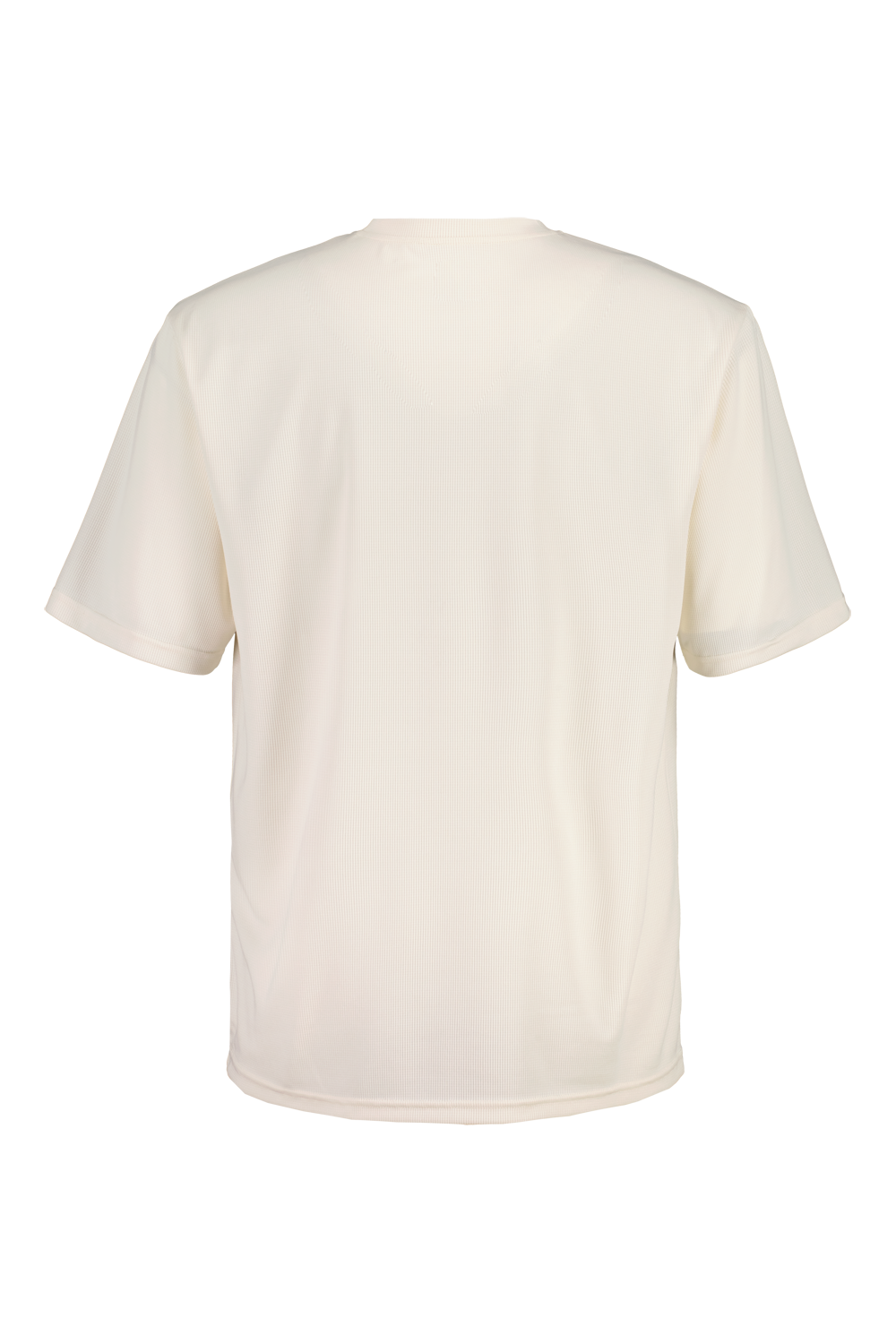 PrantagoM. – Bild 6