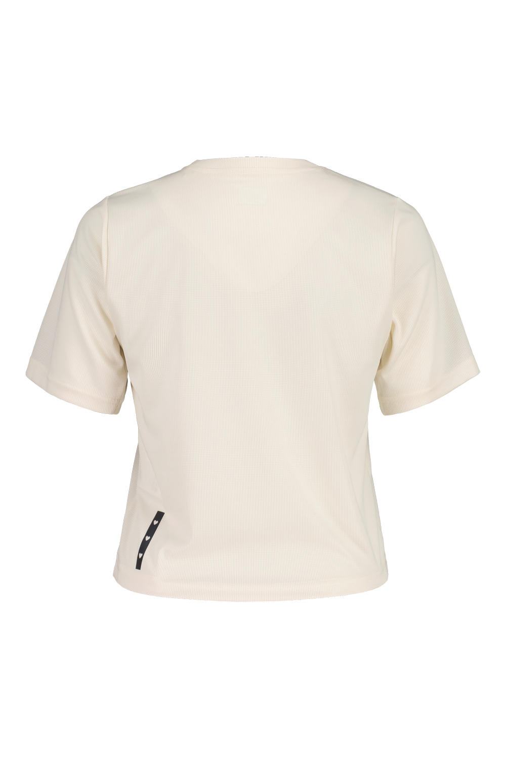 WindeggM. – Bild 4