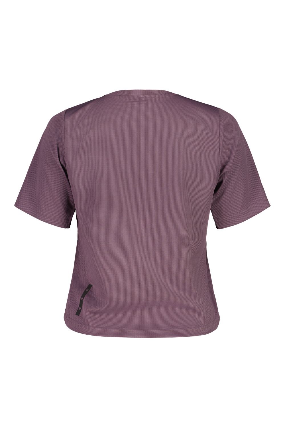 WindeggM. – Bild 6